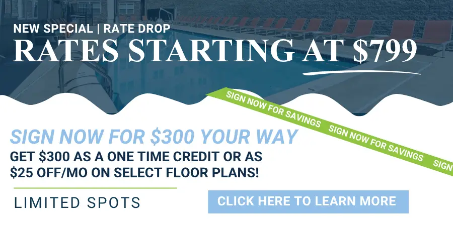 Maci 2025 New Lease Campaign PopUp (38)
