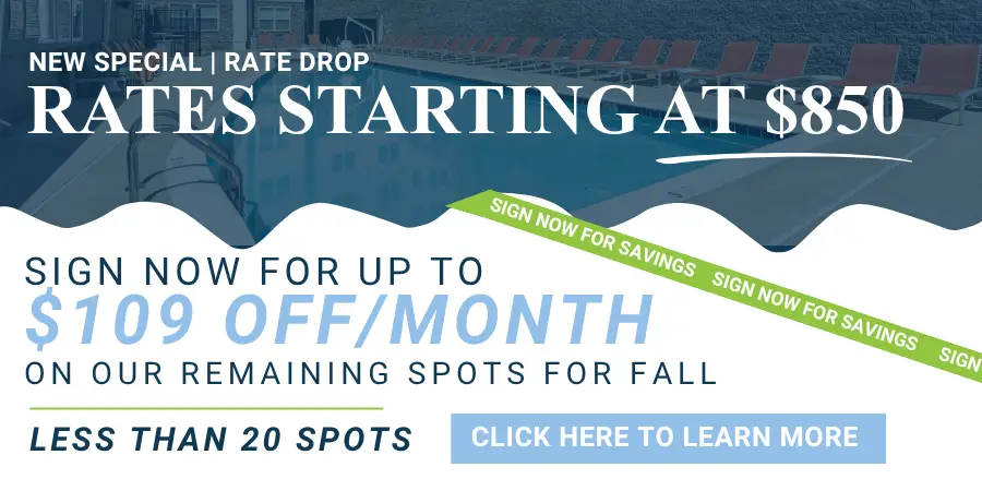 Maci 2025 New Lease Campaign PopUp (67)