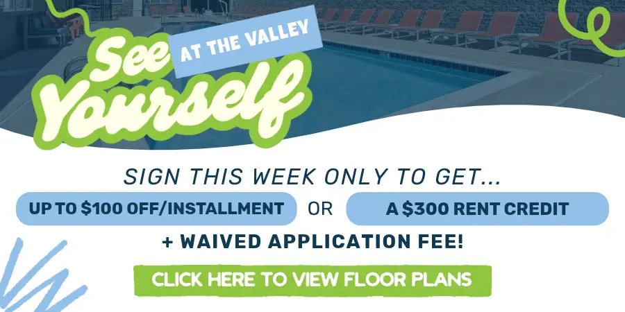 Maci 2026 Pop Up Ad Template (14)